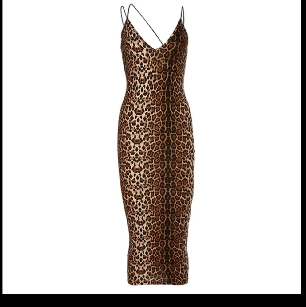 Leopard private dancer 🩰 - Picture 3 of 3